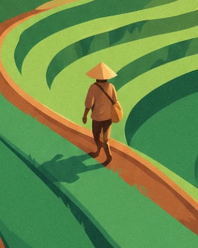 A figure with a conical hat and shoulder bag on a path between the rice fields
