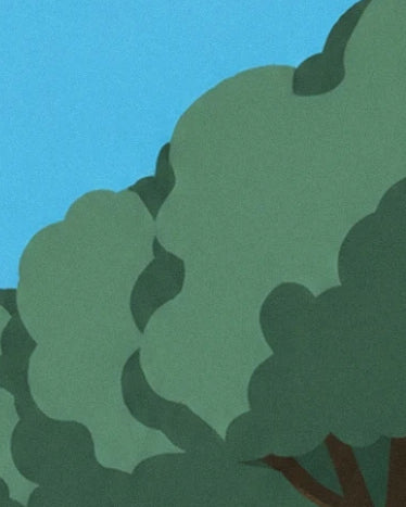 Le feuillage vert aux ombres profondes et les branches brunes sur fond de ciel bleu