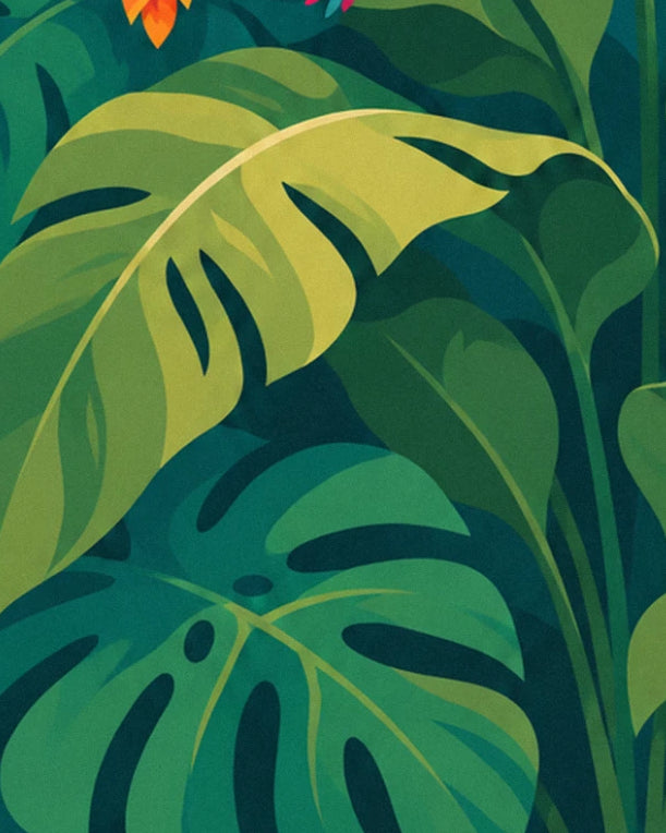 Les grandes feuilles de monstera vert tendre et vert profond, découpées comme des dentelles