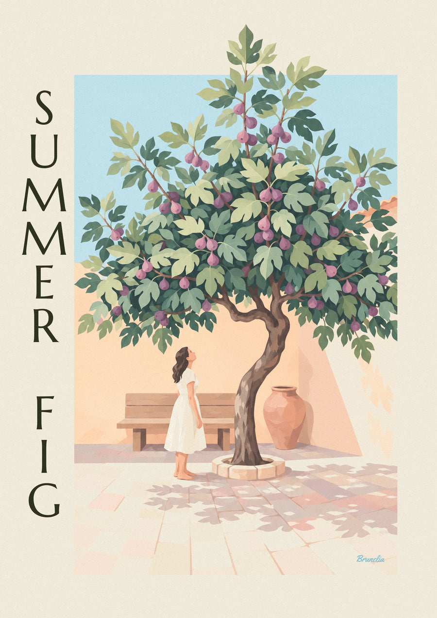 Poster albero di fico carico di fichi viola in un cortile di pietra