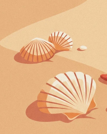 Les 3 coquillages en éventail aux stries orangées sur le sable doré