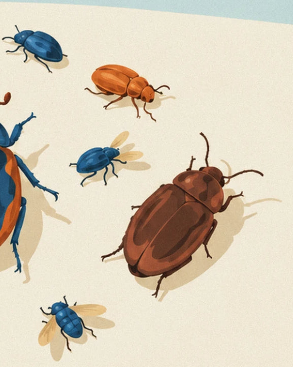Piccoli scarabei blu, arancioni e bruno-rossastri su fondo crema, con 2 mosche dalle ali dorate