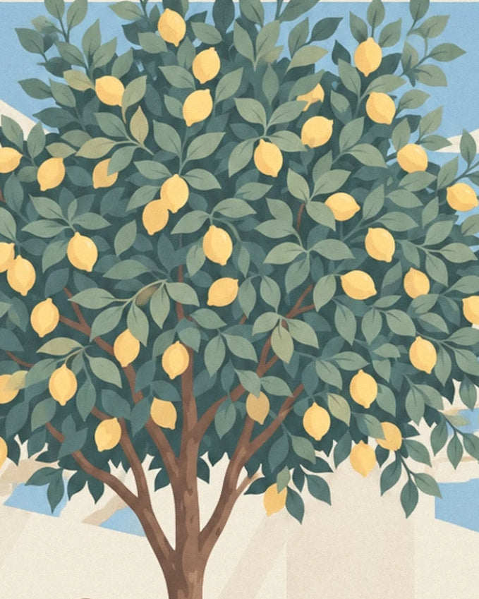 The lemon tree laden with yellow fruit, its dark green leaves and brown trunk