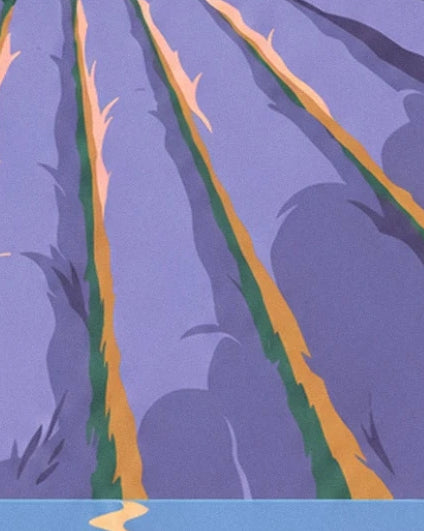 Les rangées de lavande violette séparées par des sillons ocre en Provence