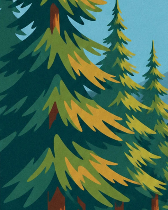 Fir trees with dark green and mustard yellow branches, with a patch of blue sky