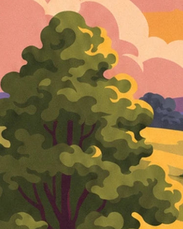 Un albero dal fogliame verde oliva davanti a campi dorati e a un cielo rosa e arancione