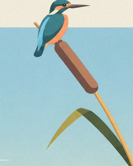 Il martin pescatore blu e arancione posato su una typha marrone accanto allo stagno