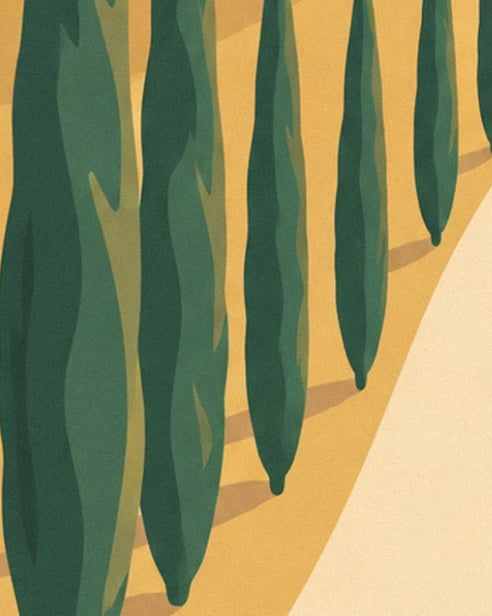 A row of dark green cypress trees and their shadows beside the ivory path