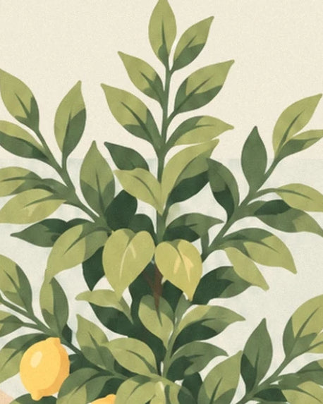 Les rameaux élancés du citronnier, leurs feuilles vertes et un citron jaune sur fond crème