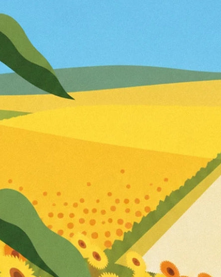 Un campo giallo bordato di girasoli e una strada chiara, sotto il cielo azzurro