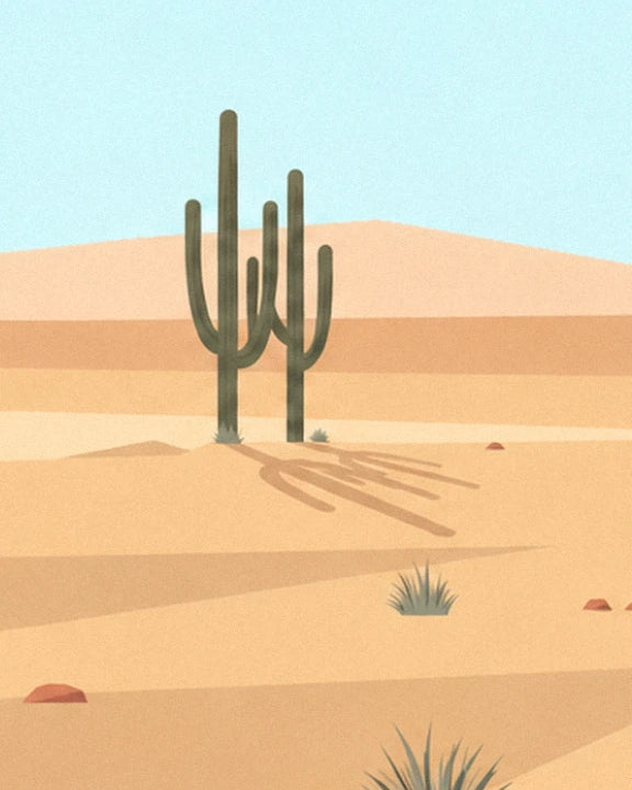 A tall cactus with 3 branches and its long shadow across the pale sand dunes