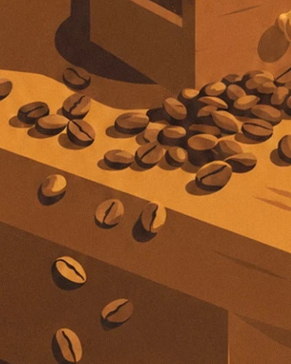 Les grains de café bruns éparpillés sur le rebord en bois et devant le moulin