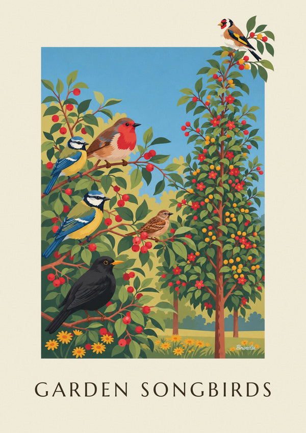 Affiche planche naturaliste des oiseaux chanteurs du jardin