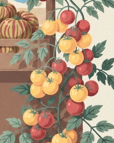 Les grappes de tomates rouges et jaunes parmi les feuilles vertes, près des cagettes