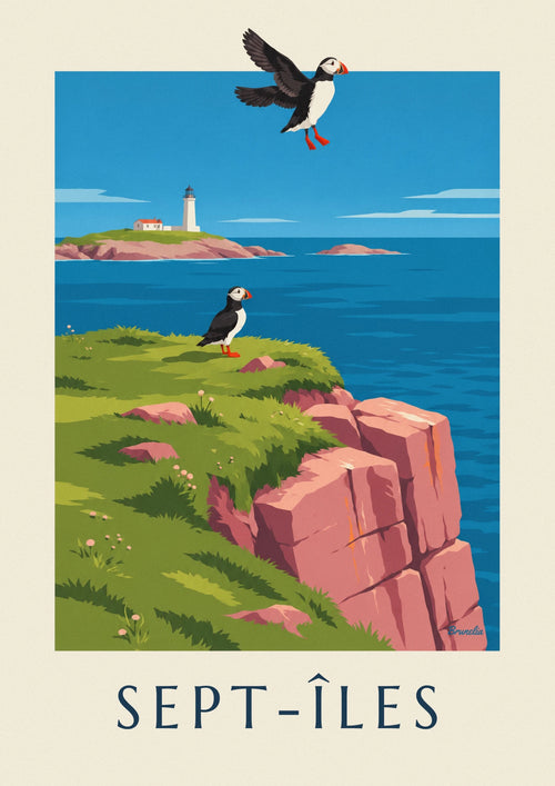 Affiche macareux sur les falaises des Sept-Îles : l'affiche entière