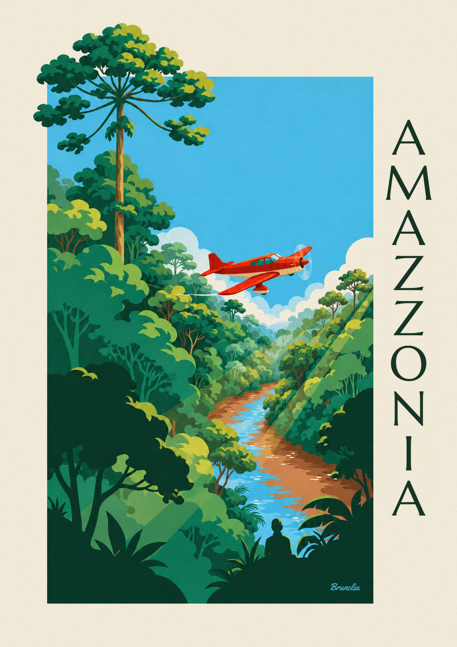 Poster aereo a elica in volo sulla foresta amazzonica