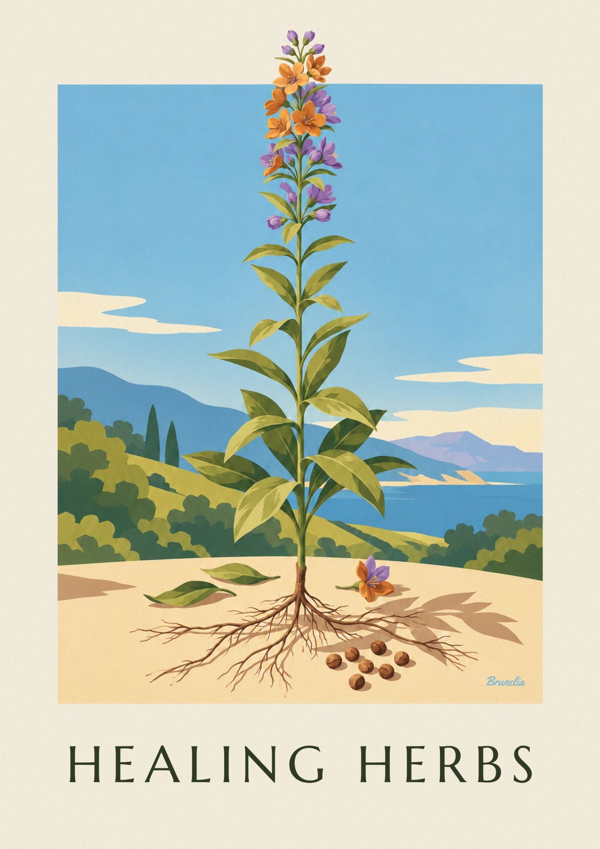 Herbarium medicinal plant botanical plate poster