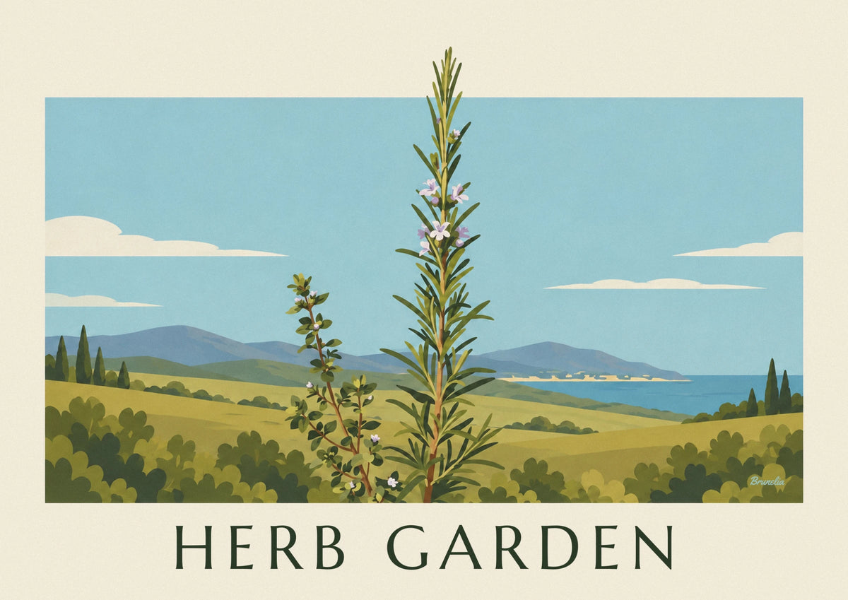 Flowering thyme and rosemary botanical plate poster